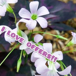 Who doesn't love a deal?  Shoot  me an offer.